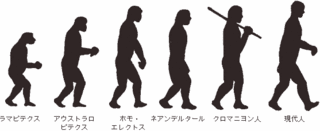 類人猿画像.gif